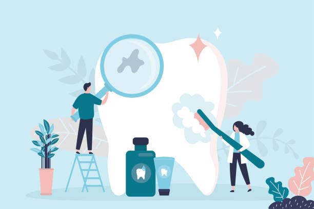Best Preventive Dentistry  in Des Plaines, IL